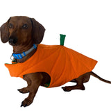 Dog Coat Halloween Pumpkin Design