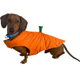 Dog Coat Halloween Pumpkin Design